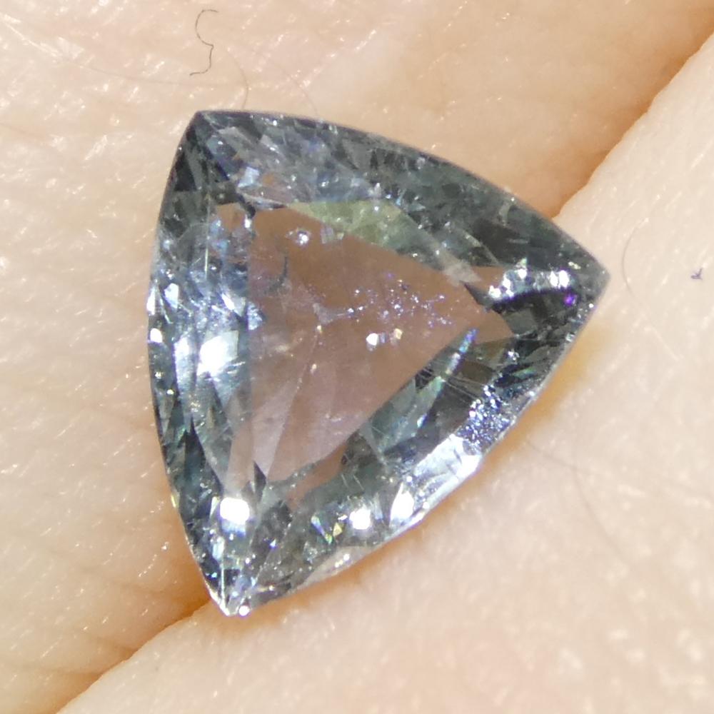 1.41ct Trillion Blue Teal Sapphire from Tanzania, Unheated en vente 8