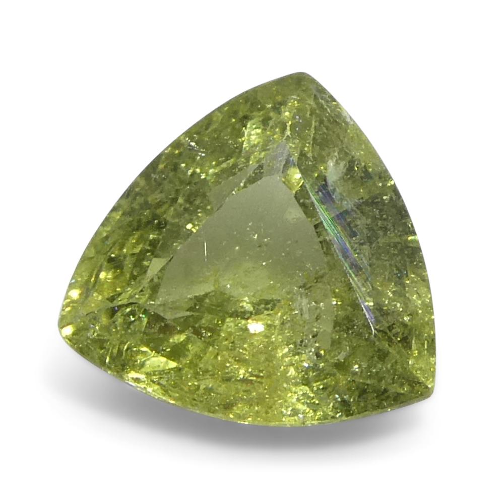 1,41 Karat Trillioner grüner Saphir aus Tansania, unerhitzt im Zustand „Neu“ im Angebot in Toronto, Ontario