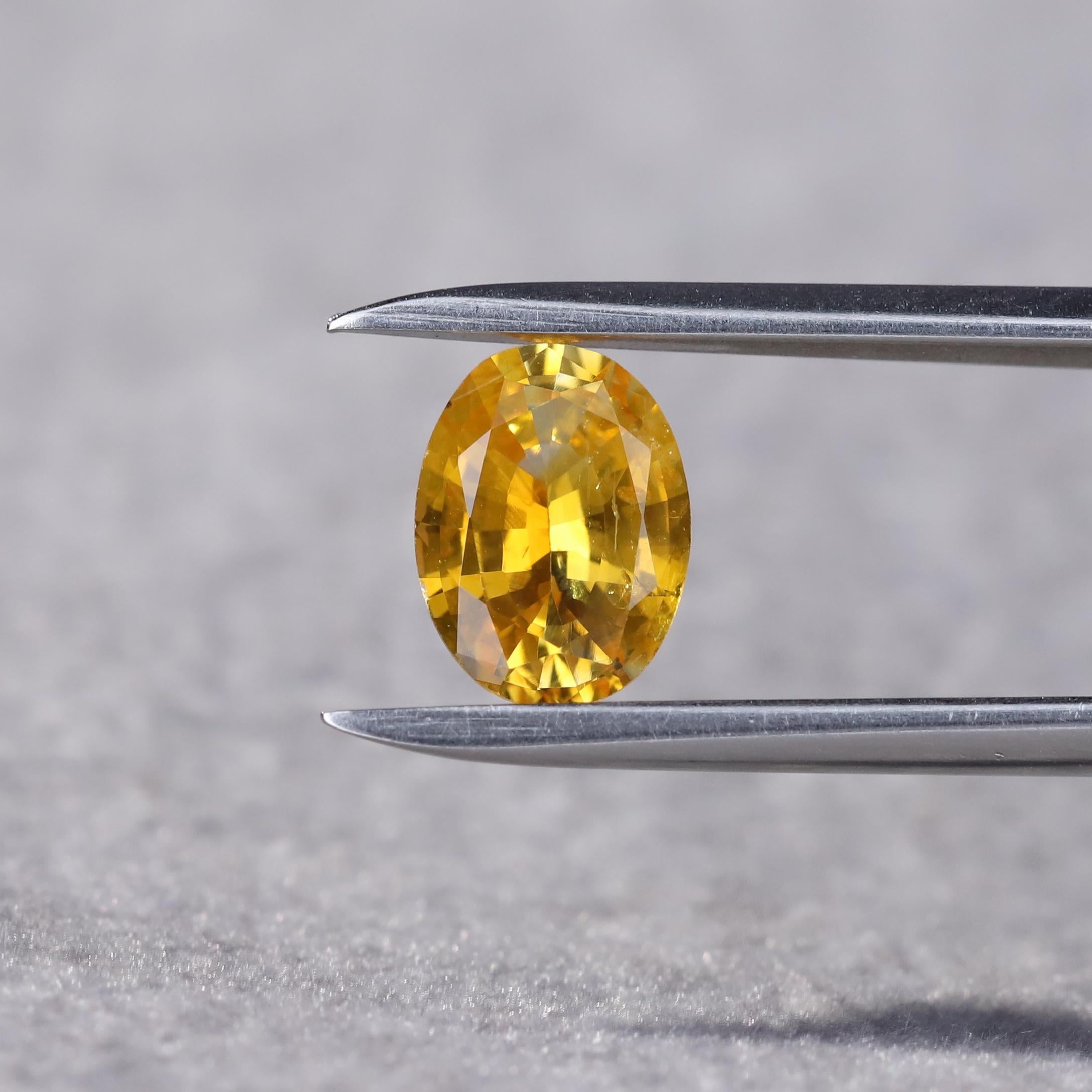 1.42 Carat Oval Cut Natural Golden Yellow Sapphire Loose Gemstone from Sri Lanka For Sale 1