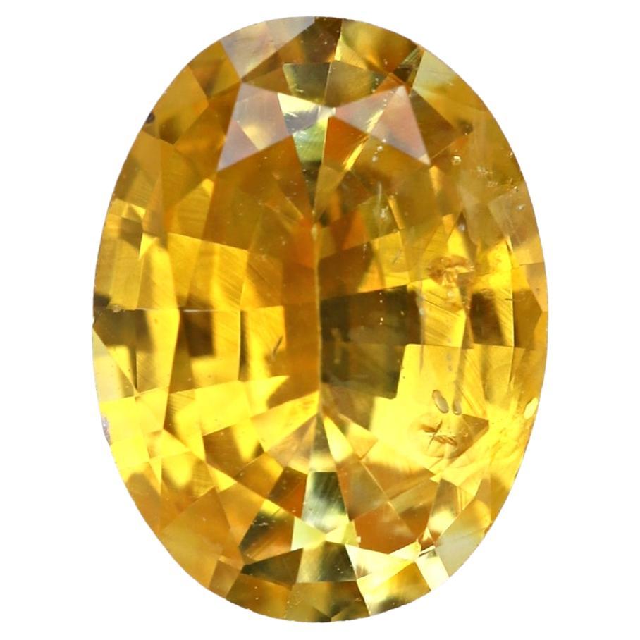 1.42 Carat Oval Cut Natural Golden Yellow Sapphire Loose Gemstone from Sri Lanka For Sale