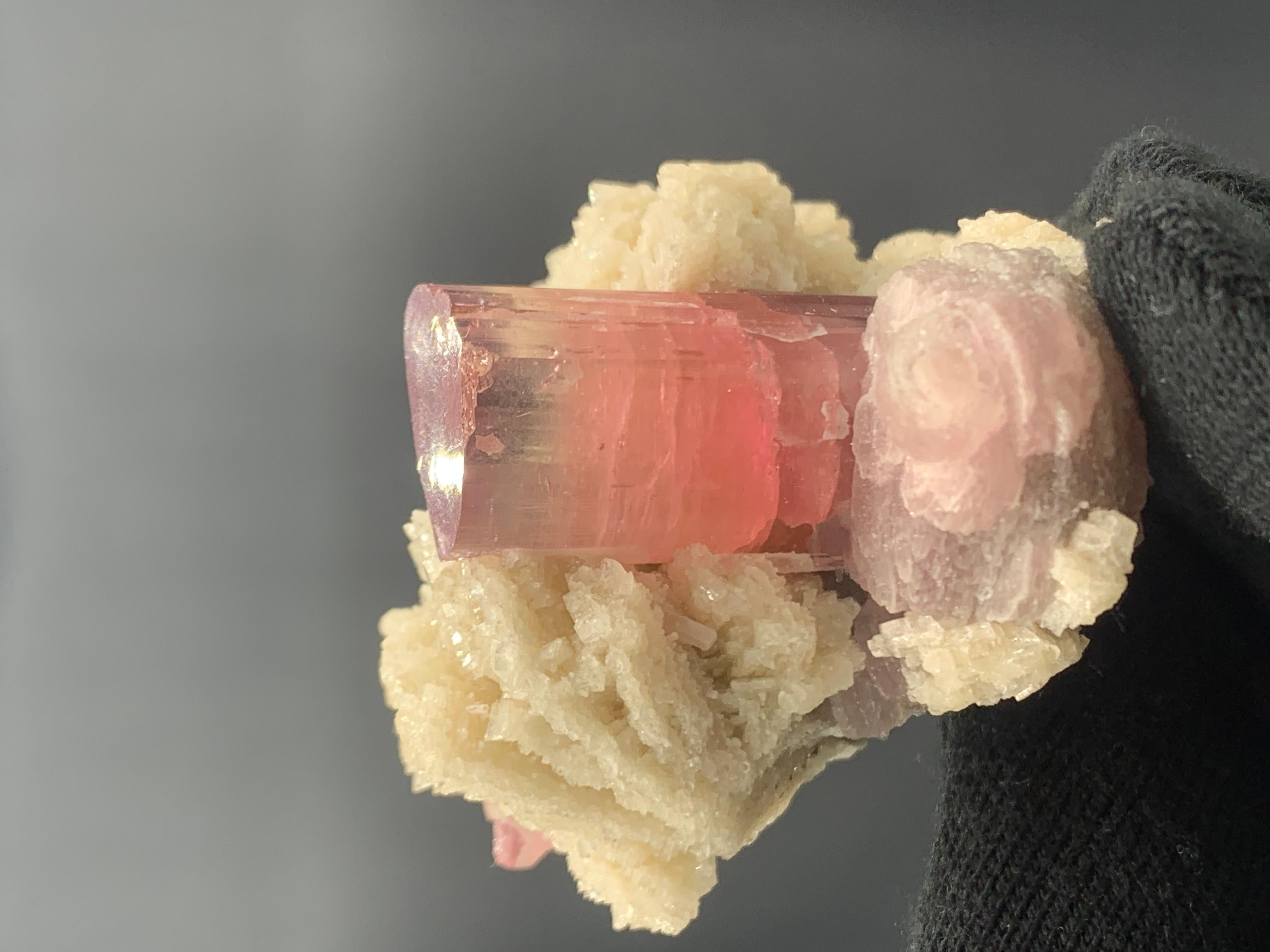 143.28 Pink Tourmaline With Cleavelandite Specimen From Paprook, Afghanistan  For Sale 3