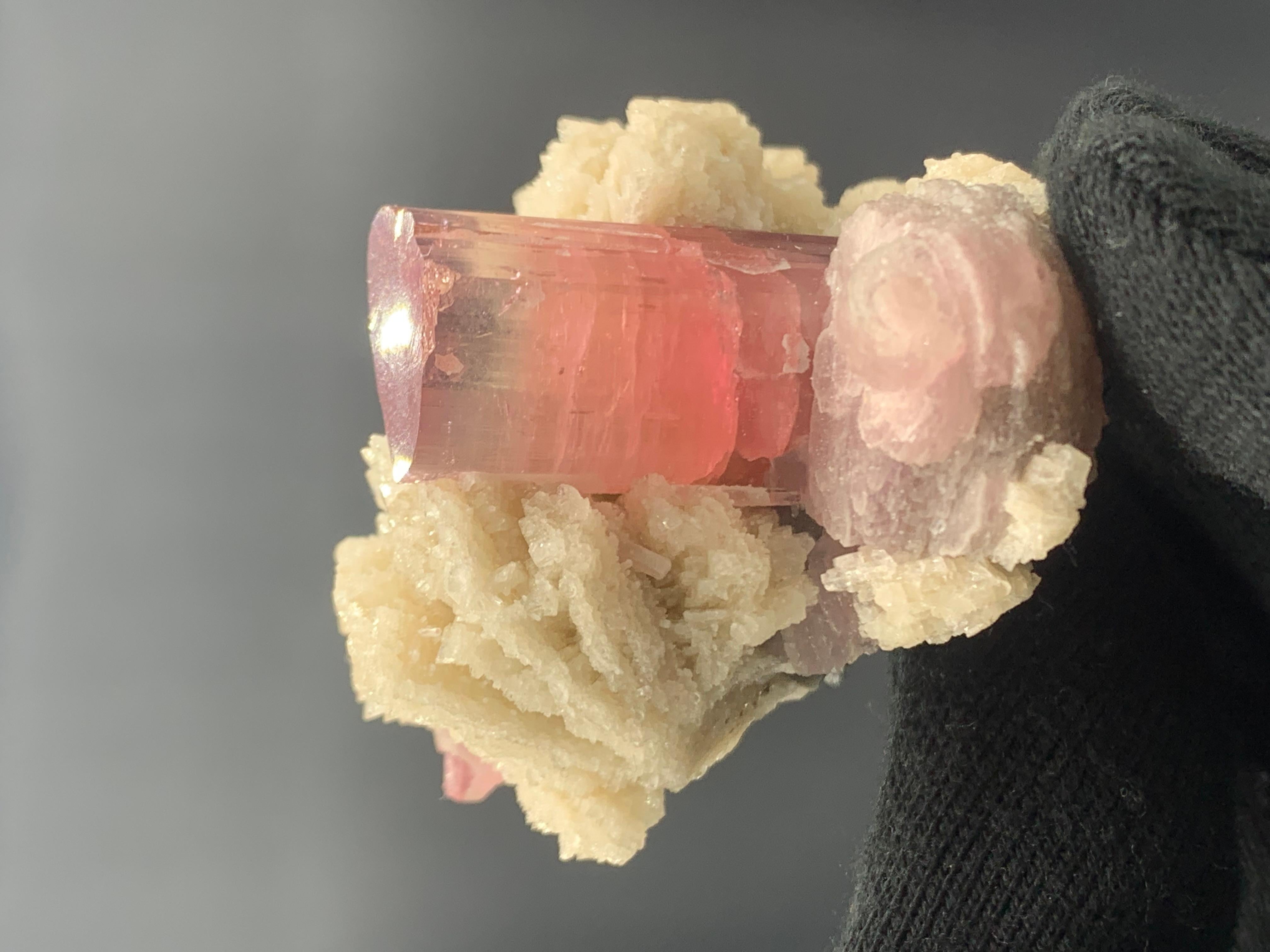 143.28 Pink Tourmaline With Cleavelandite Specimen From Paprook, Afghanistan  For Sale 4