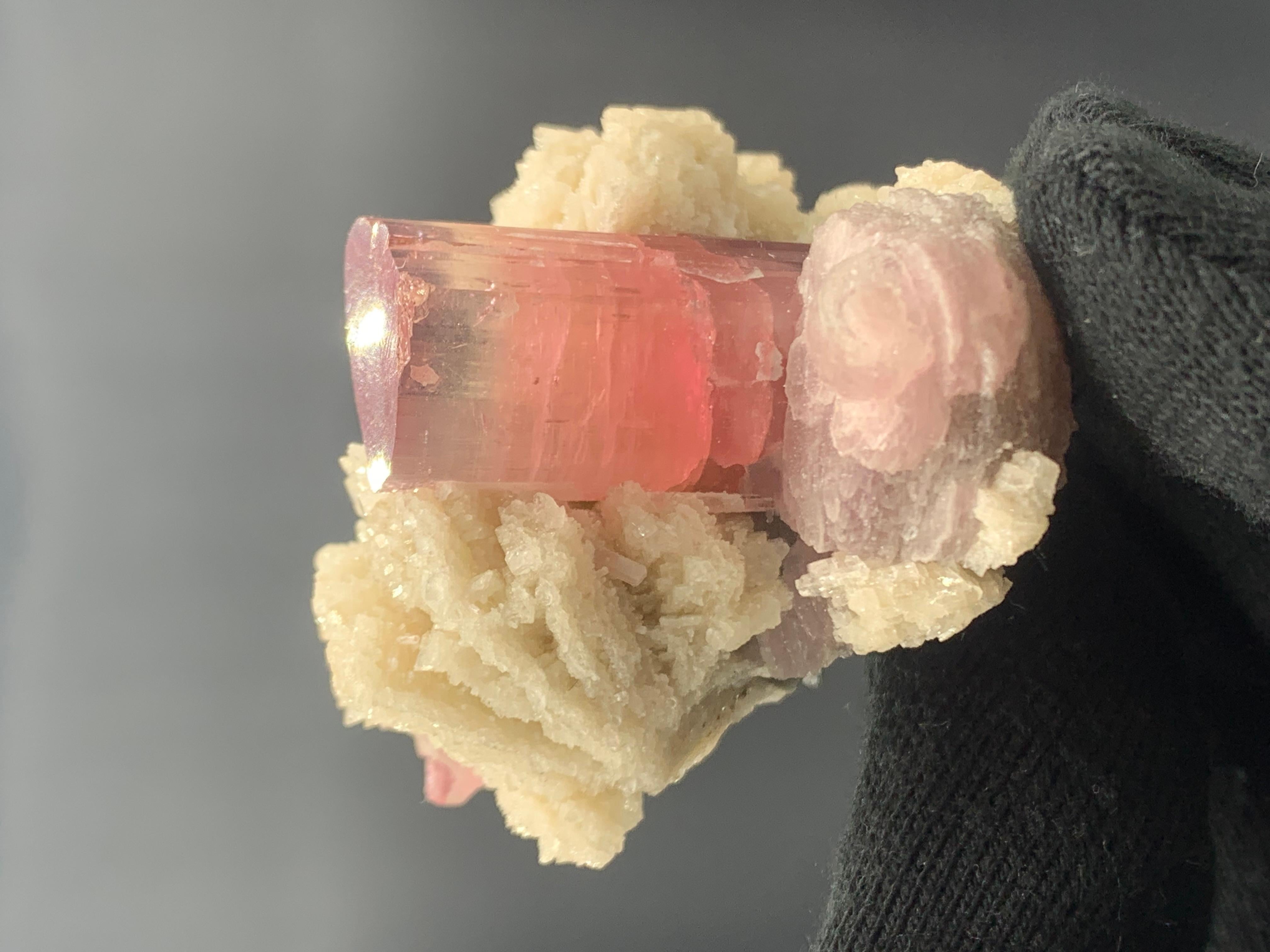 143.28 Pink Tourmaline With Cleavelandite Specimen From Paprook, Afghanistan  For Sale 5