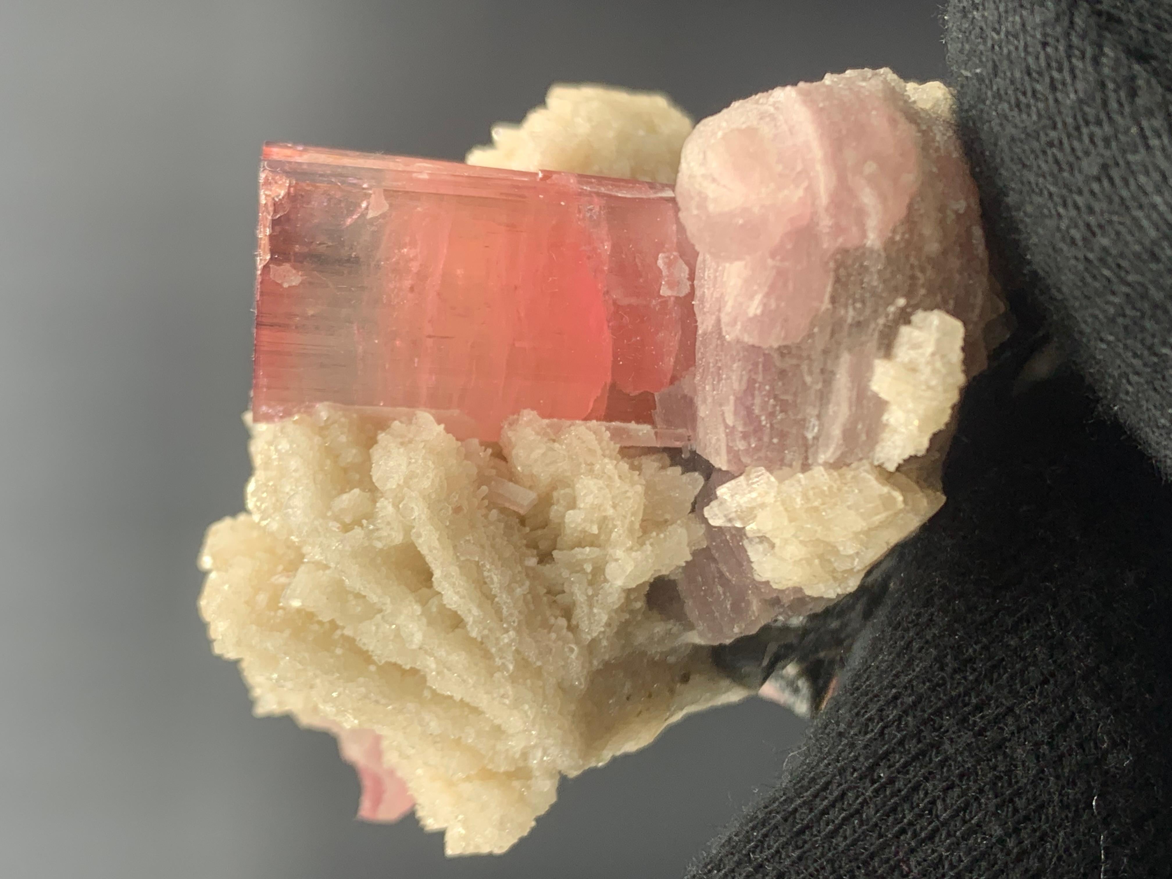143.28 Pink Tourmaline With Cleavelandite Specimen From Paprook, Afghanistan  For Sale 6