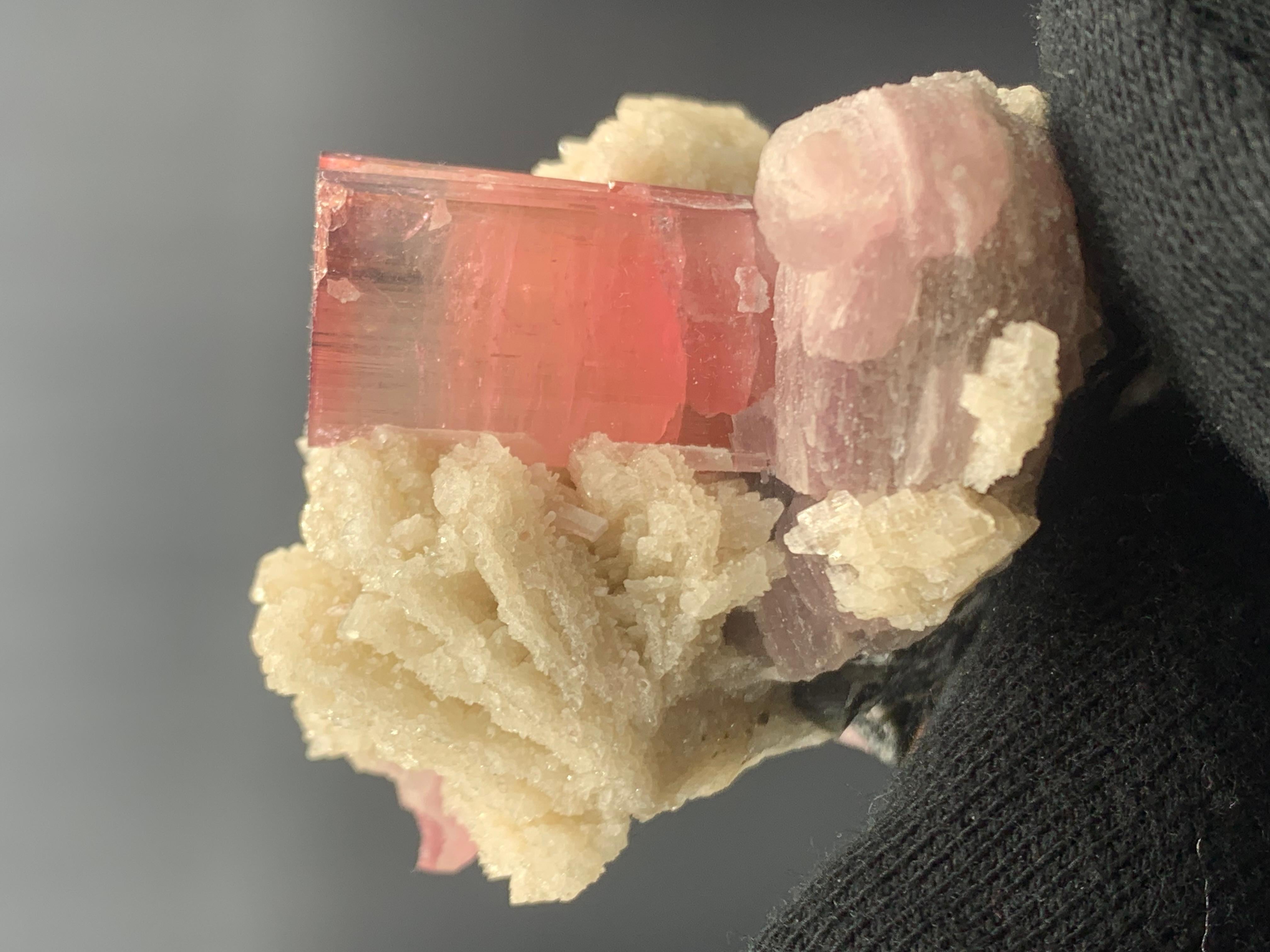 143.28 Pink Tourmaline With Cleavelandite Specimen From Paprook, Afghanistan For Sale 7