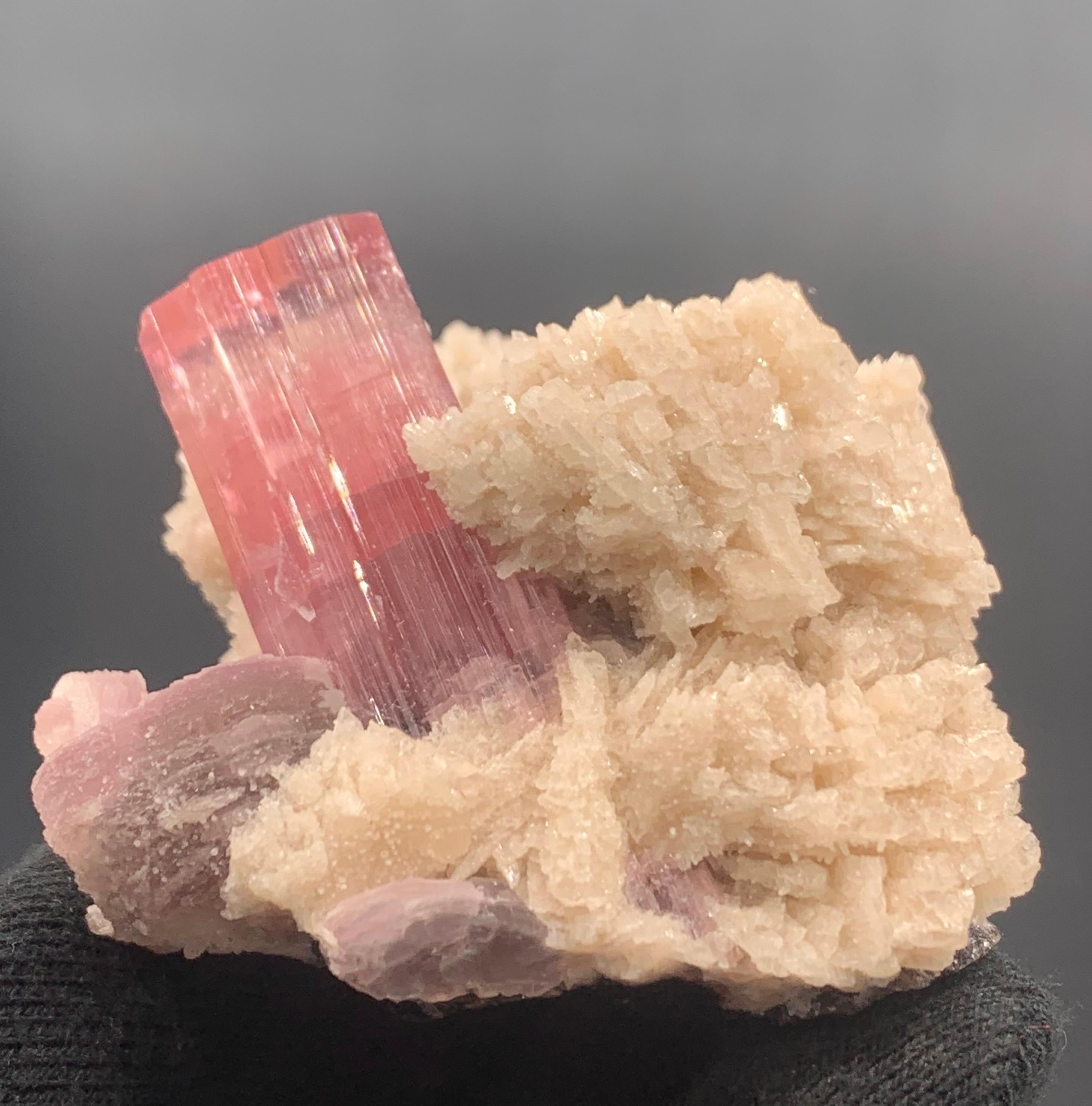 Weight : 143.28 Gram 
Dimension: 5.7 x 5.4 x 4.2 Cm 
Origin : Paprook Mine, Afghanistan 

Tourmaline is a crystalline silicate mineral group in which boron is compounded with elements such as aluminium, iron, magnesium, sodium, lithium, or
