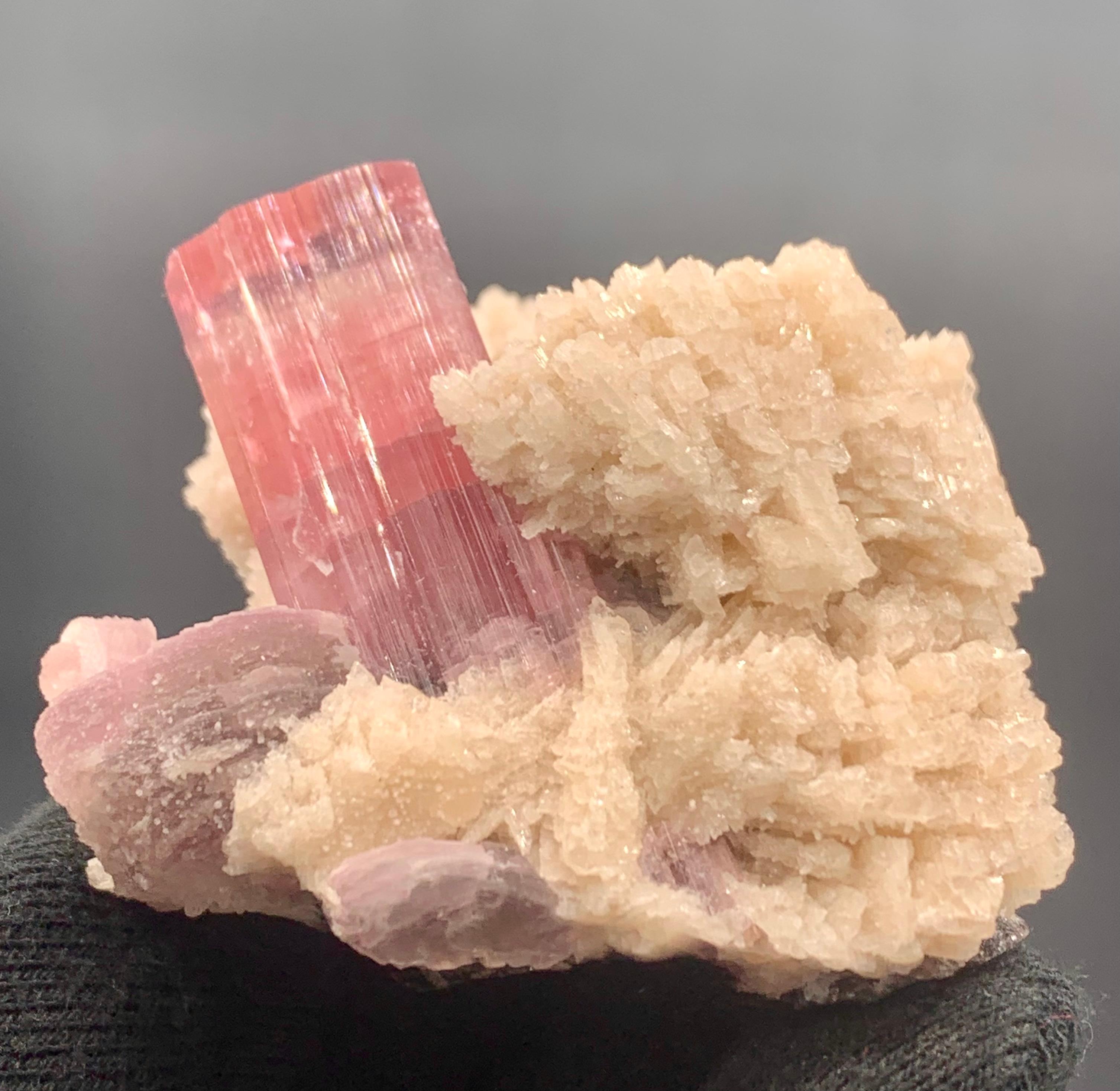Adam Style 143.28 Pink Tourmaline With Cleavelandite Specimen From Paprook, Afghanistan  For Sale