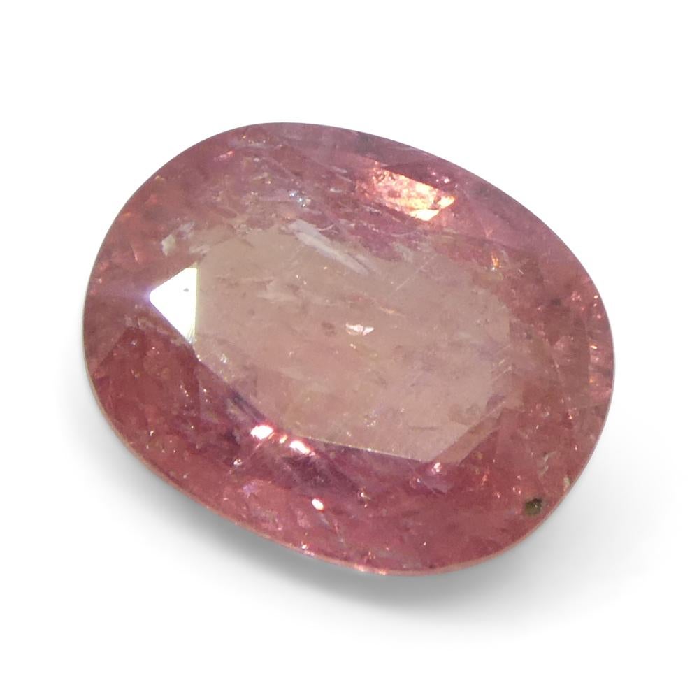 1.43ct Oval Orangy-Pink Padparadscha Sapphire from Tanzania, Unheated For Sale 2