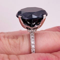 14.45 Carat Black Diamond Ring, White Gold Diamond Band and Hidden Halo