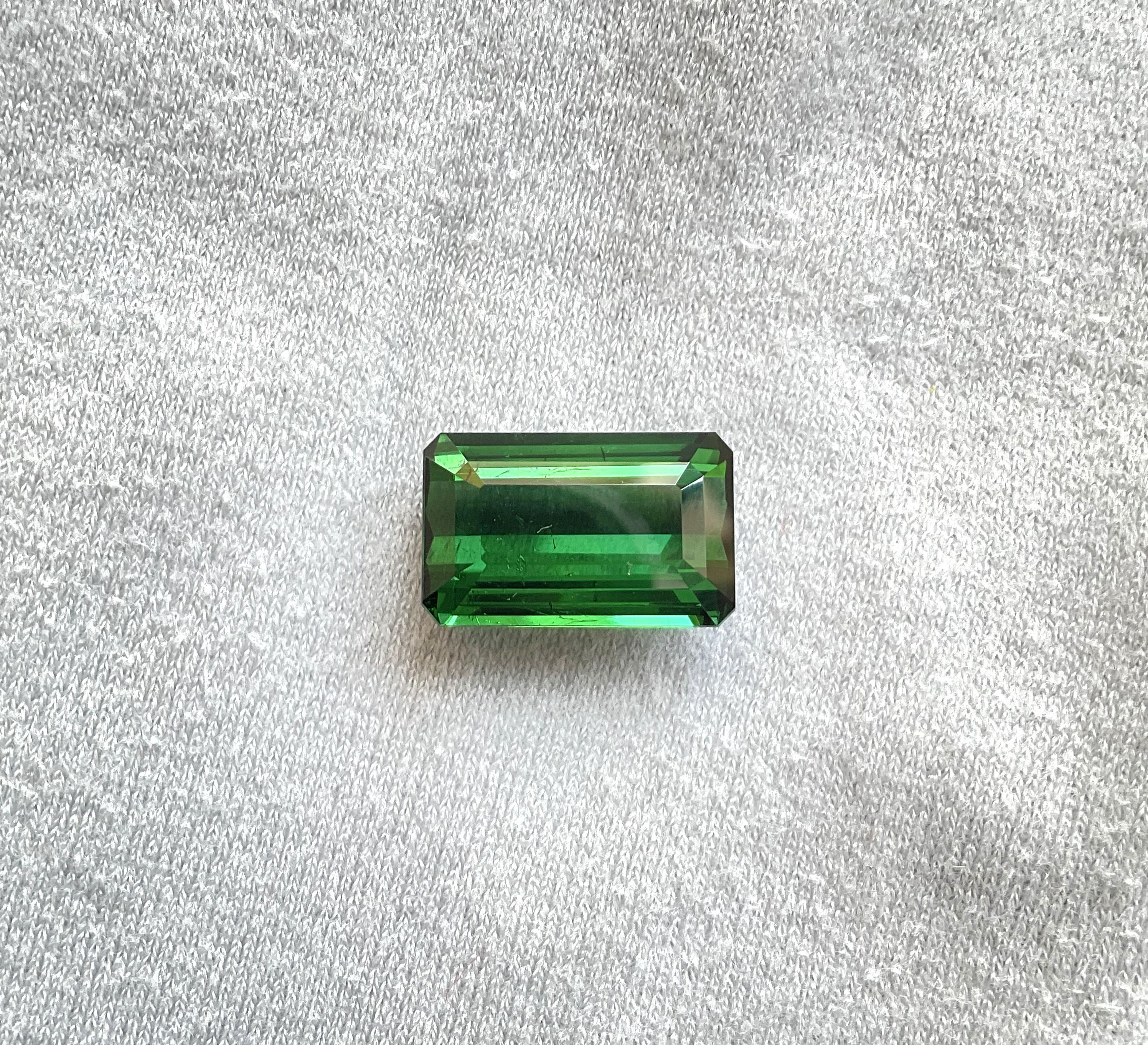 14.46 Karat Nigeria grüner Turmalin Top Qualität Oktagon Schliff Stein natürlich Edelstein für Damen oder Herren im Angebot