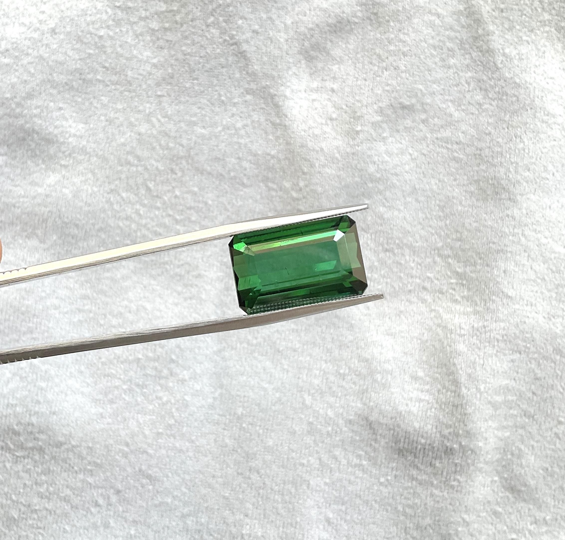 14.46 Karat Nigeria grüner Turmalin Top Qualität Oktagon Schliff Stein natürlich Edelstein im Angebot 1