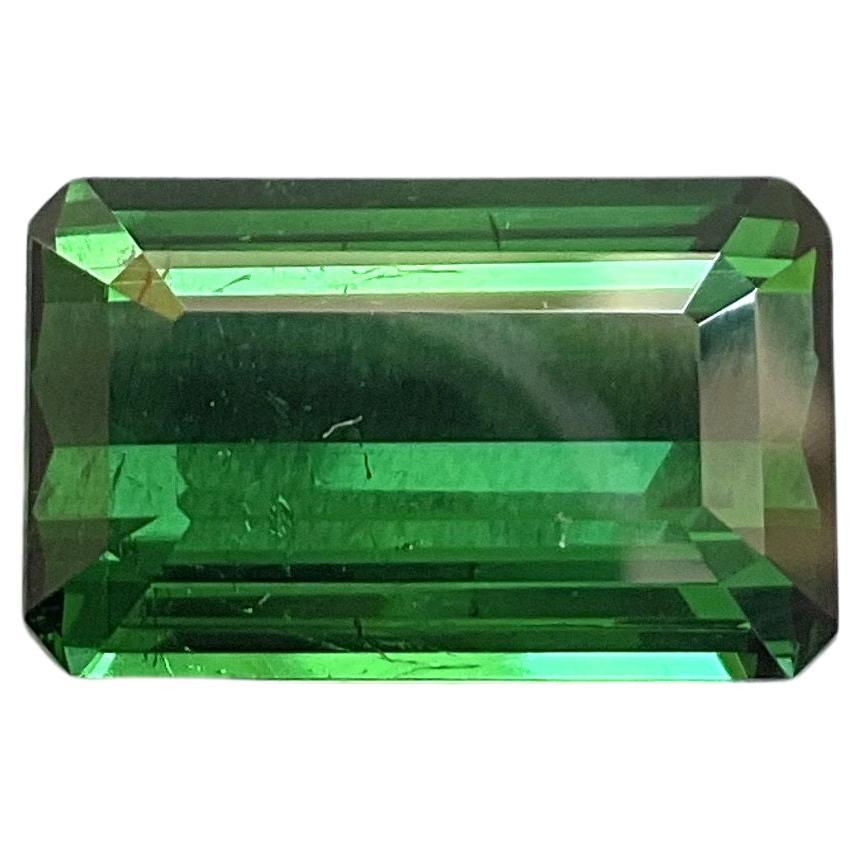 14.46 carats Nigeria green tourmaline Top Quality Octagon Cut stone natural Gem For Sale