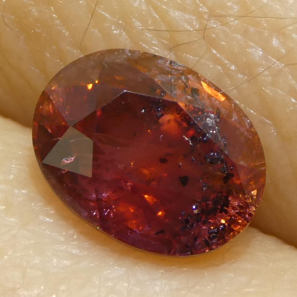 Saphir rouge ovale de 1,44ct d'Afrique de l'Est en vente 5