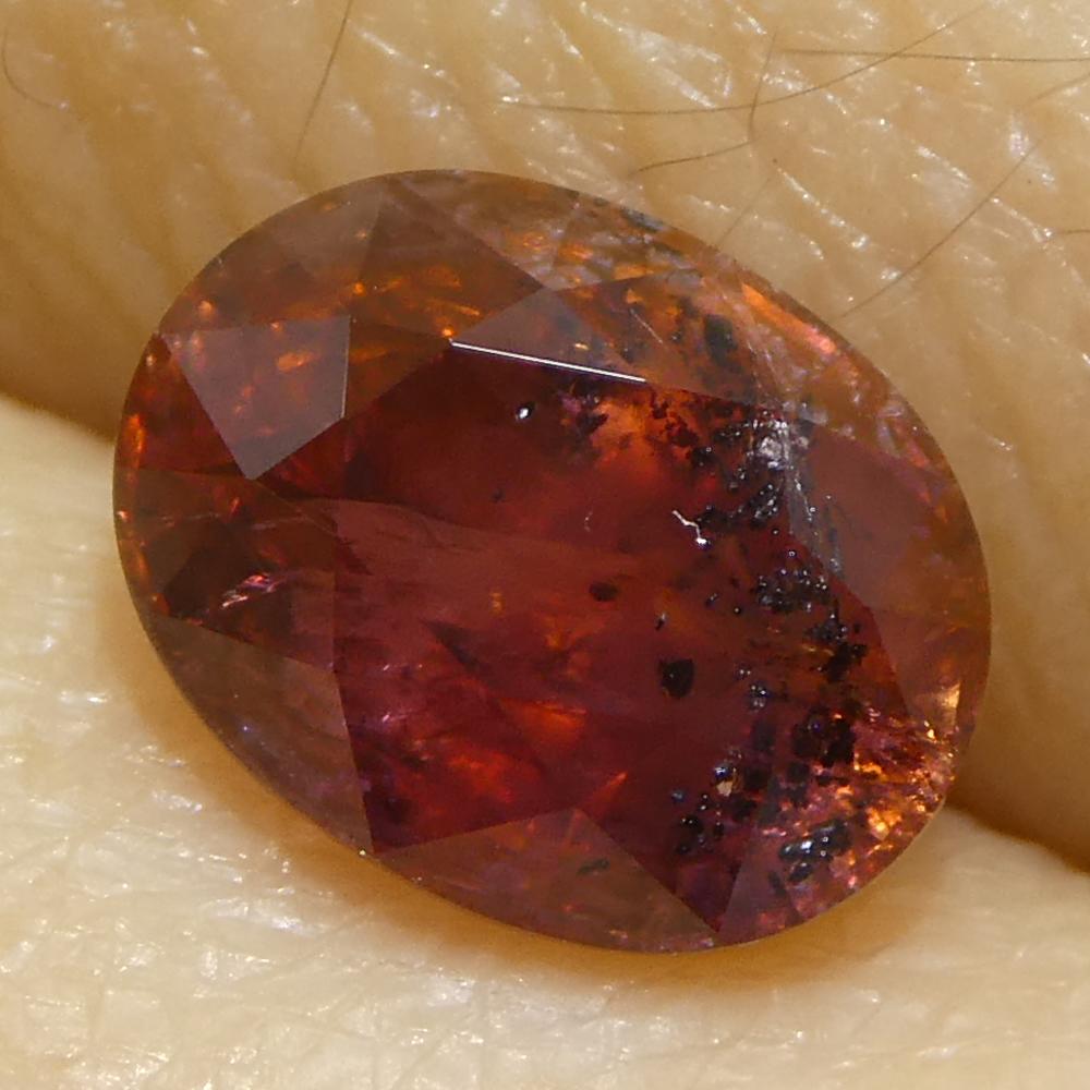 Saphir rouge ovale de 1,44ct d'Afrique de l'Est en vente 6