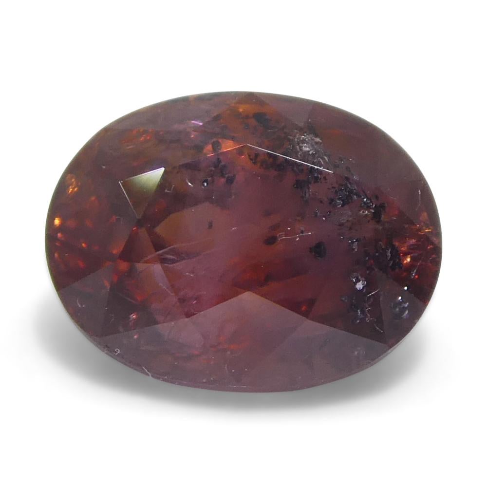 Saphir rouge ovale de 1,44ct d'Afrique de l'Est Neuf - En vente à Toronto, Ontario