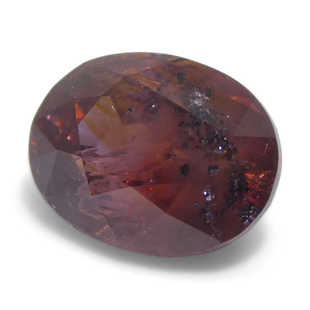 Saphir rouge ovale de 1,44ct d'Afrique de l'Est Unisexe en vente