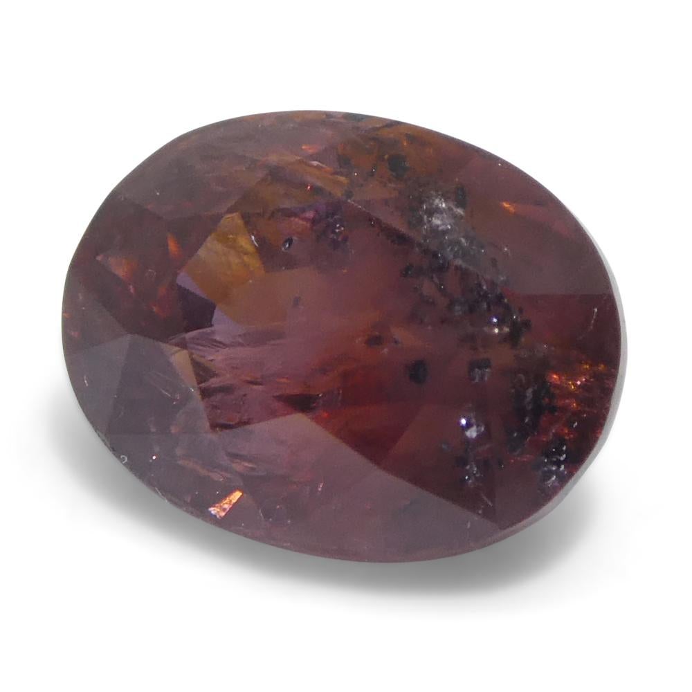 Saphir rouge ovale de 1,44ct d'Afrique de l'Est en vente 1