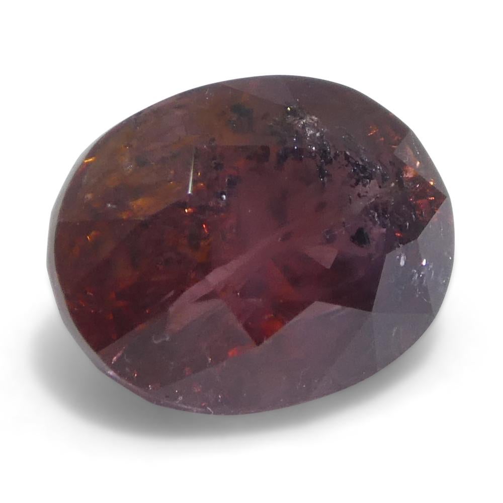 Saphir rouge ovale de 1,44ct d'Afrique de l'Est en vente 2