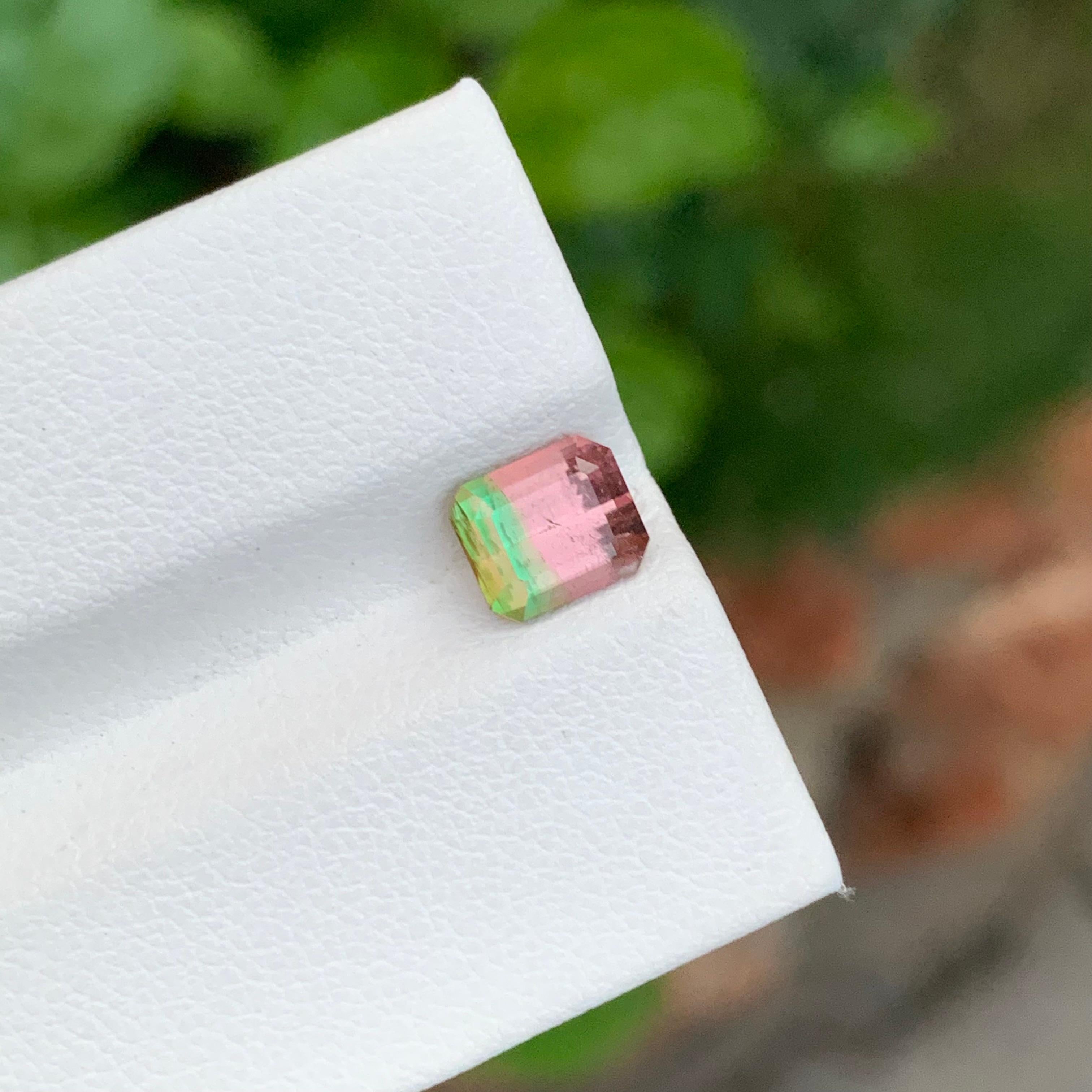 Loser zweifarbiger Turmalin

Gewicht: 1,45 Karat
Abmessung: 6.8 x 5.7 x 4.4 Mm
Farbe: Rosa und Mintgrün 
Herkunft: Afghanistan
Zertifikat: Auf Anfrage
Behandlung: Nicht
Die Form: Smaragd 


Der Turmalin ist ein faszinierender Edelstein, der für