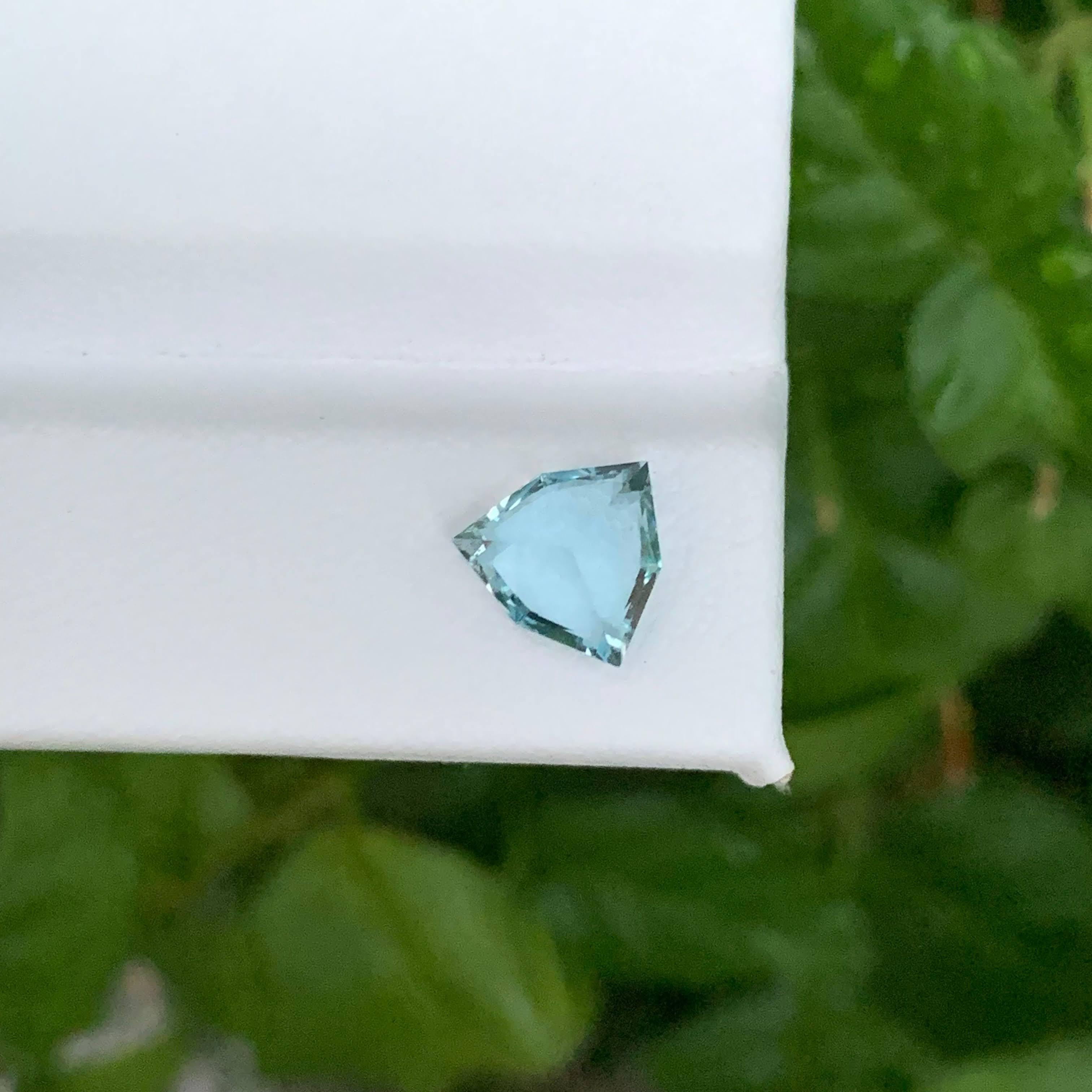 1,45 Karat Natürlicher loser tiefseeblauer Aquamarin Billionen-Schliff Pakistan Edelstein im Angebot 3