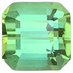 1.45 Carat Natural Loose Green Tourmaline Square Shape Gemstone