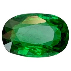 1,45 Carati di Granato Verde Tsavorite Naturale Sciolto Gemma Taglio Ovale Gemma Tanzaniana