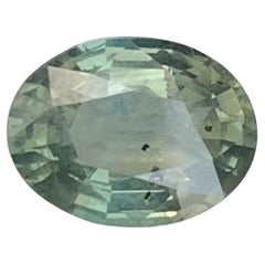 Gemma di forma ovale da 1,45 carati di zaffiro verde acqua naturale sfuso