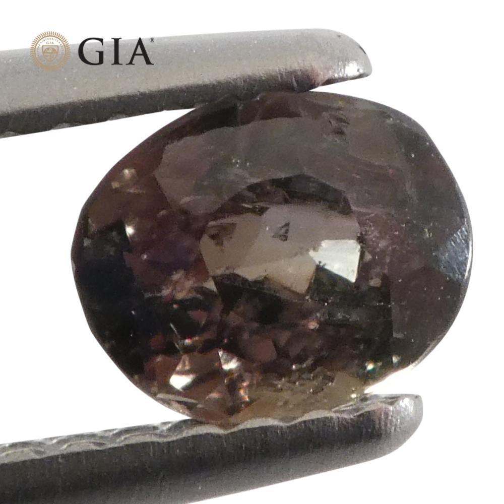 0.95ct Oval Yellowish Green to Yellow-Brown Alexandrite GIA Certified Sri Lanka For Sale 7