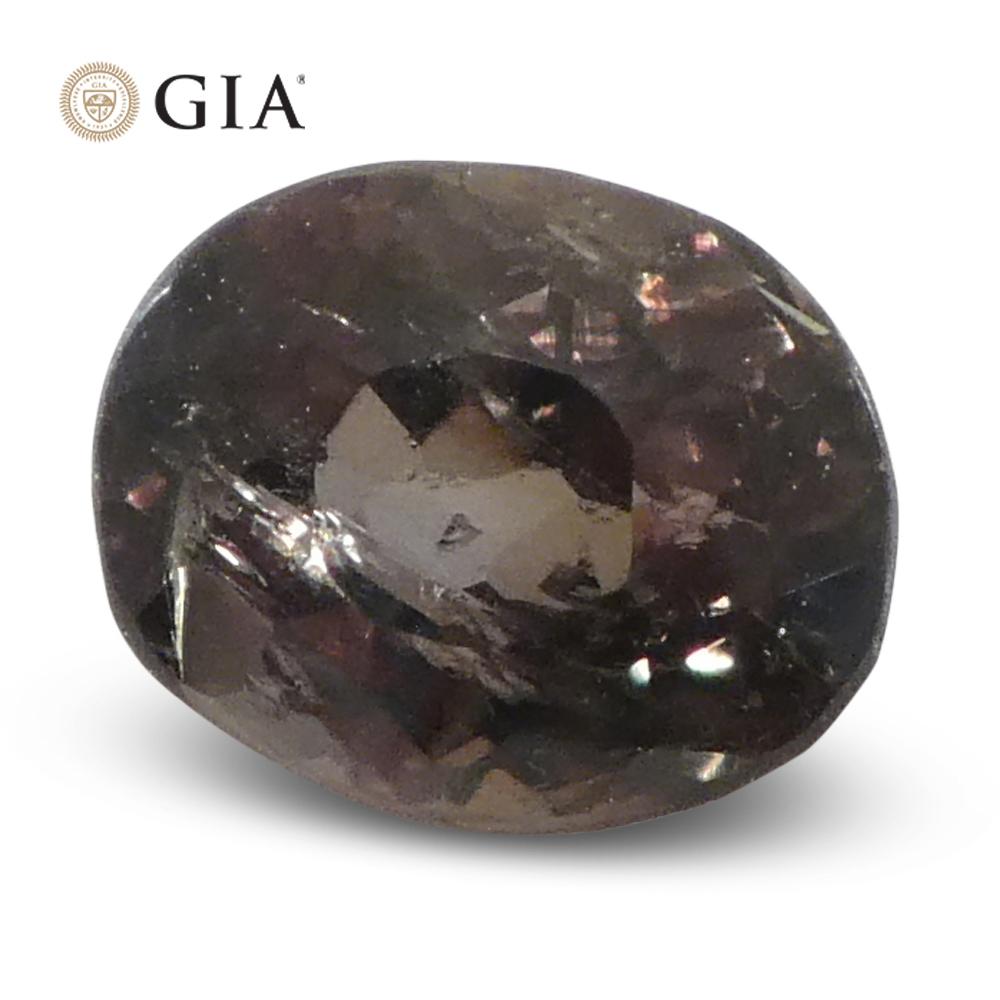 0.95ct Oval Yellowish Green to Yellow-Brown Alexandrite GIA Certified Sri Lanka For Sale 8