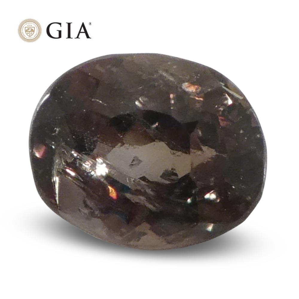 0.95ct Oval Yellowish Green to Yellow-Brown Alexandrite GIA Certified Sri Lanka For Sale 9