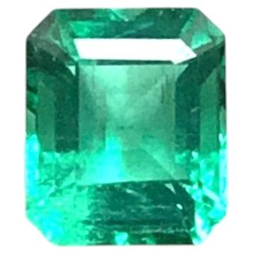 1.46 Carats Nigeria Emerald Octagon Cut Stone Layout Fine Jewelry Natural Gem