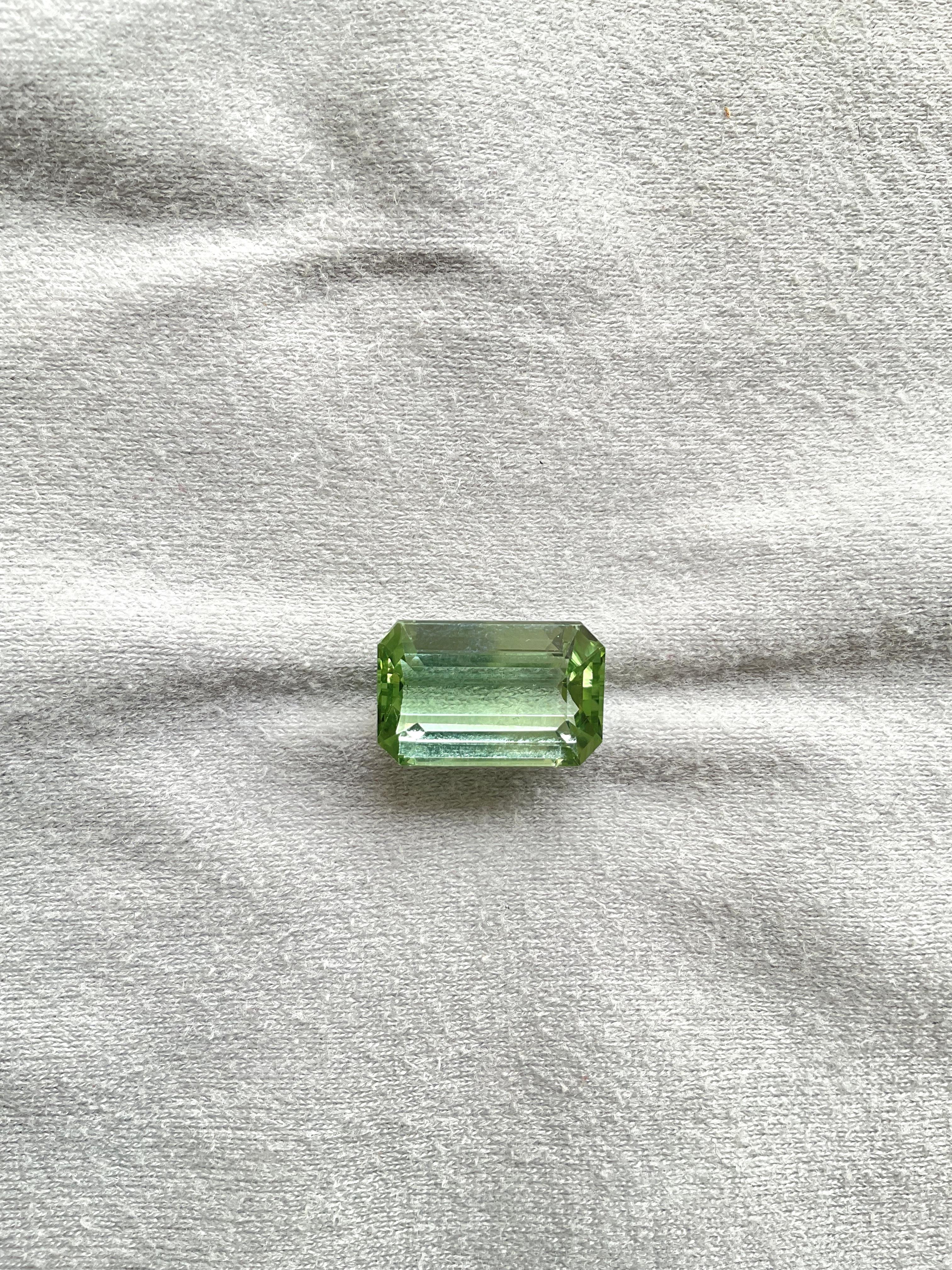 Taille octogone 14.67 carats Light green Tourmaline Octagon Top Quality cut stone Natural Gem en vente