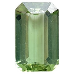 14.67 carats Light green Tourmaline Octagon Top Quality cut stone Natural Gem