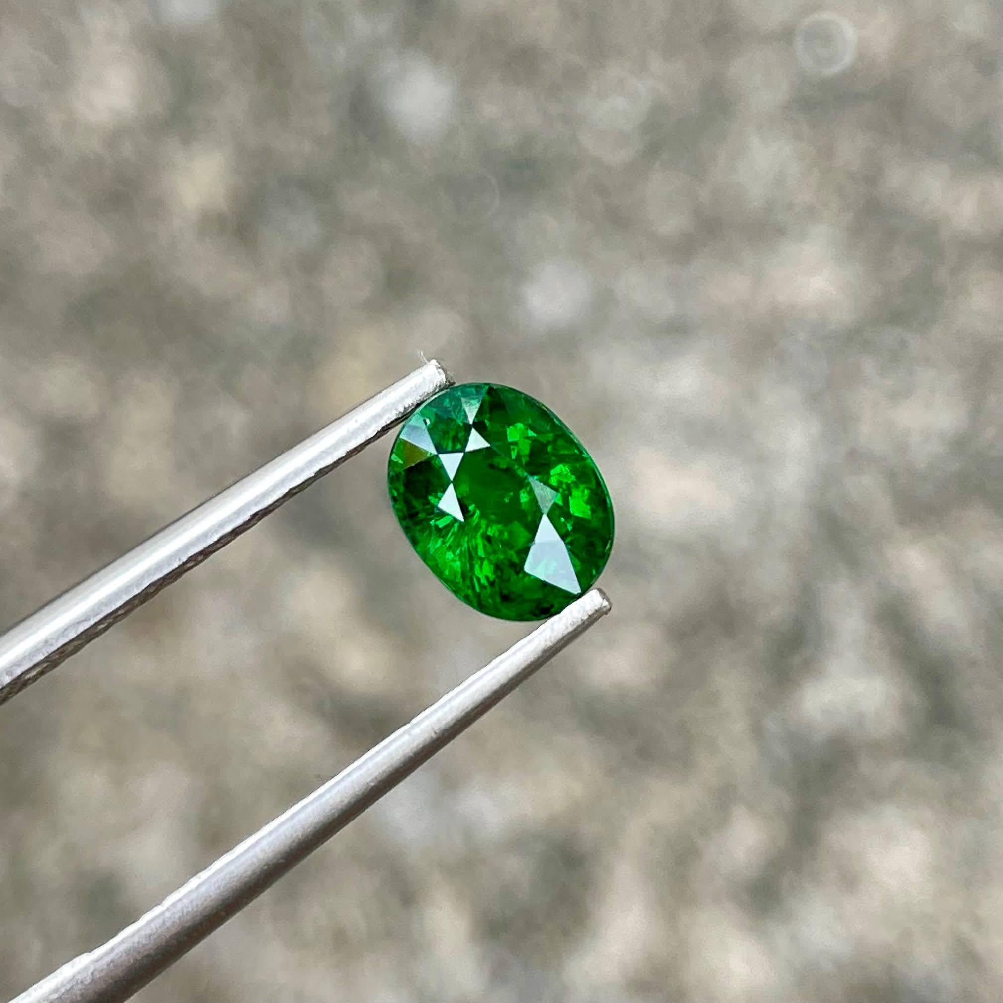 Peso 1,47 carati 
Dimensioni: 7,7x6,1x3,6 mm
Trattamento nessuno 
Origine Kenya 
Chiarezza SI 
Forma ovale 
Taglio sfaccettato 



Questo squisito Granato Tsavorite da 1,47 carati è un esempio accattivante della bellezza della natura, caratterizzato