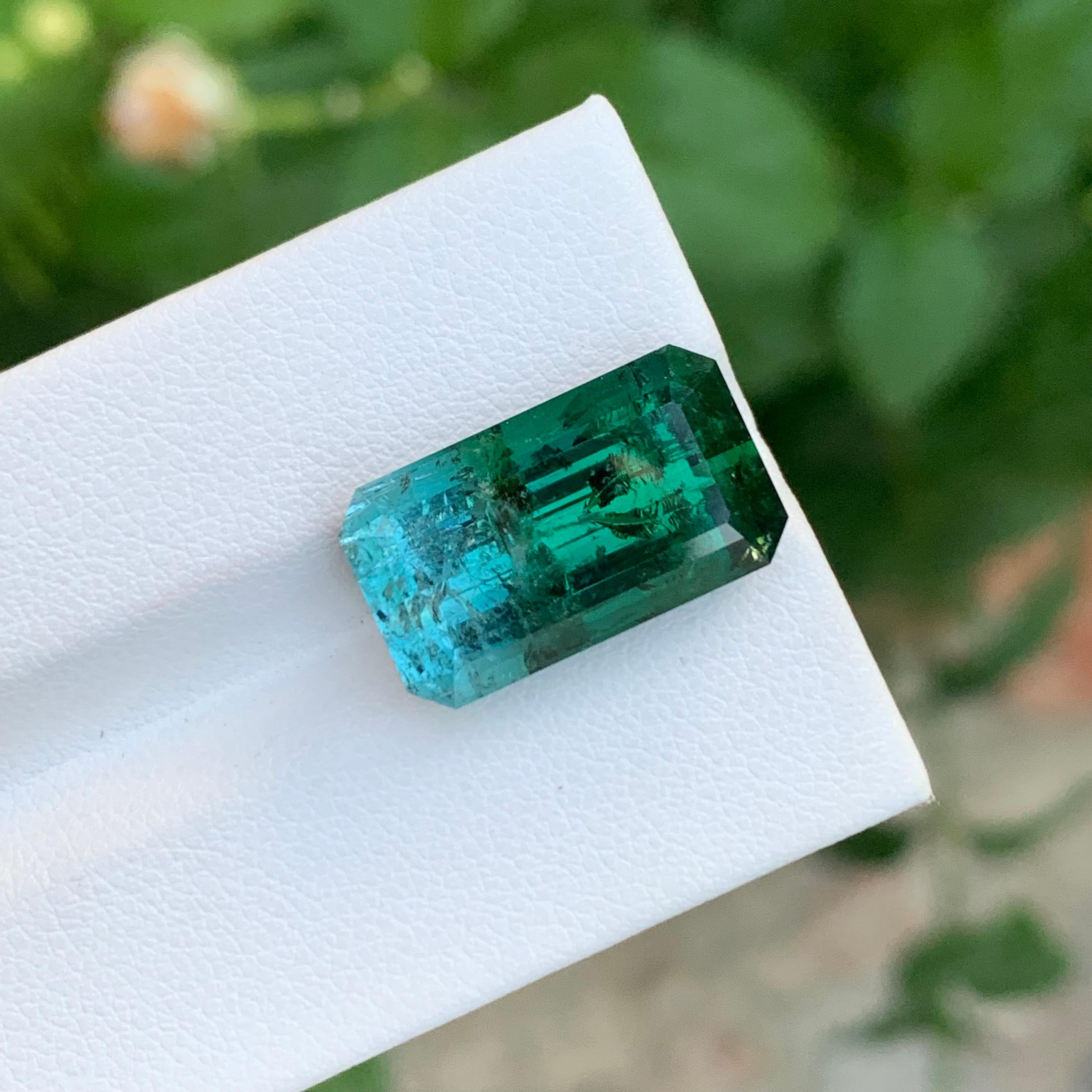 14,80 Carati Enorme Gemma Naturale Sciolta di Tormalina Bi-Colore a Forma di Smeraldo in vendita 4