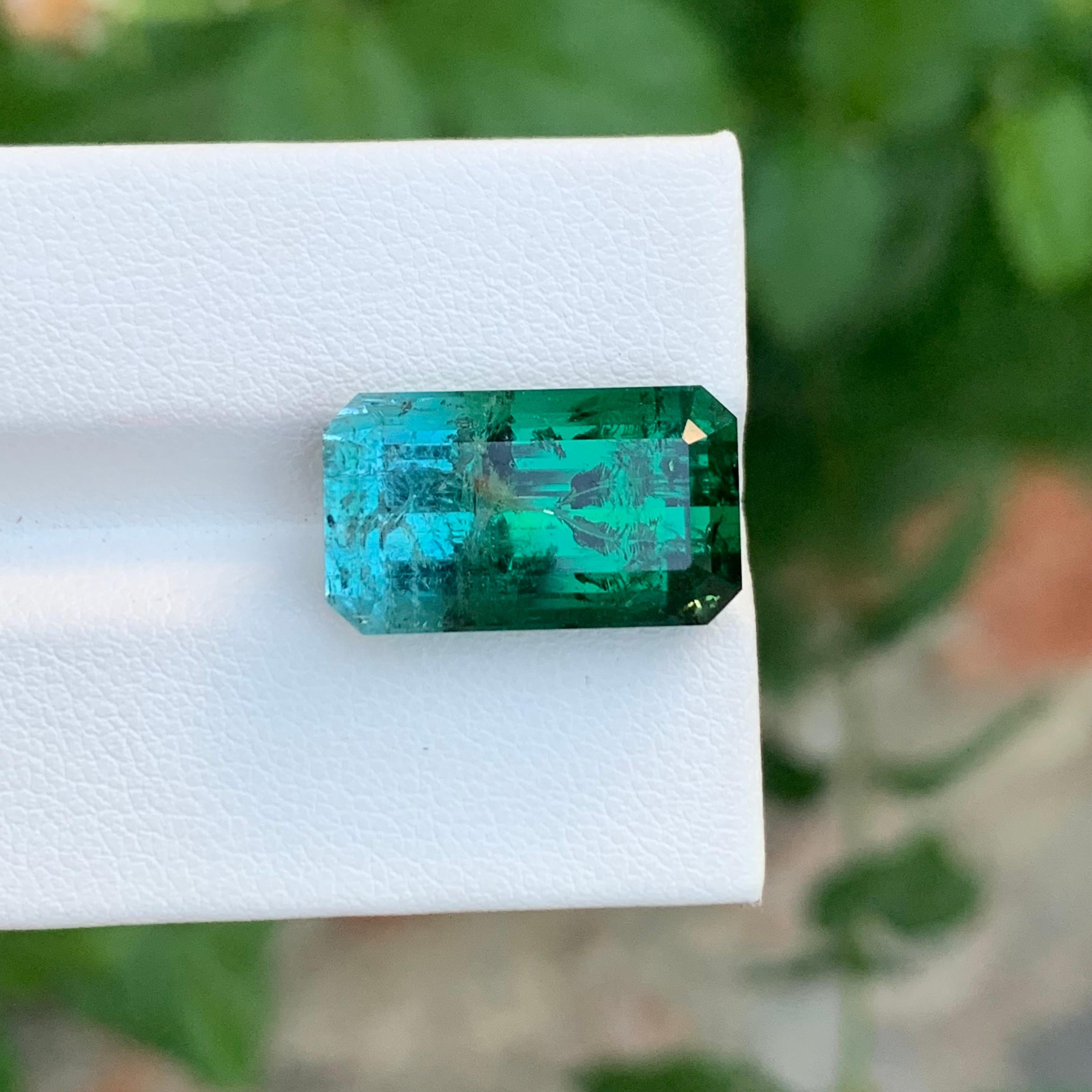 14,80 Carati Enorme Gemma Naturale Sciolta di Tormalina Bi-Colore a Forma di Smeraldo in vendita 5