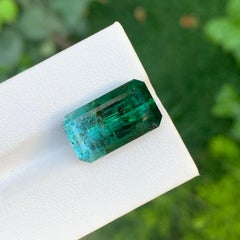 14,80 Karat Riesige Natürliche Lose Bi Color Turmalin Smaragd Form Edelstein