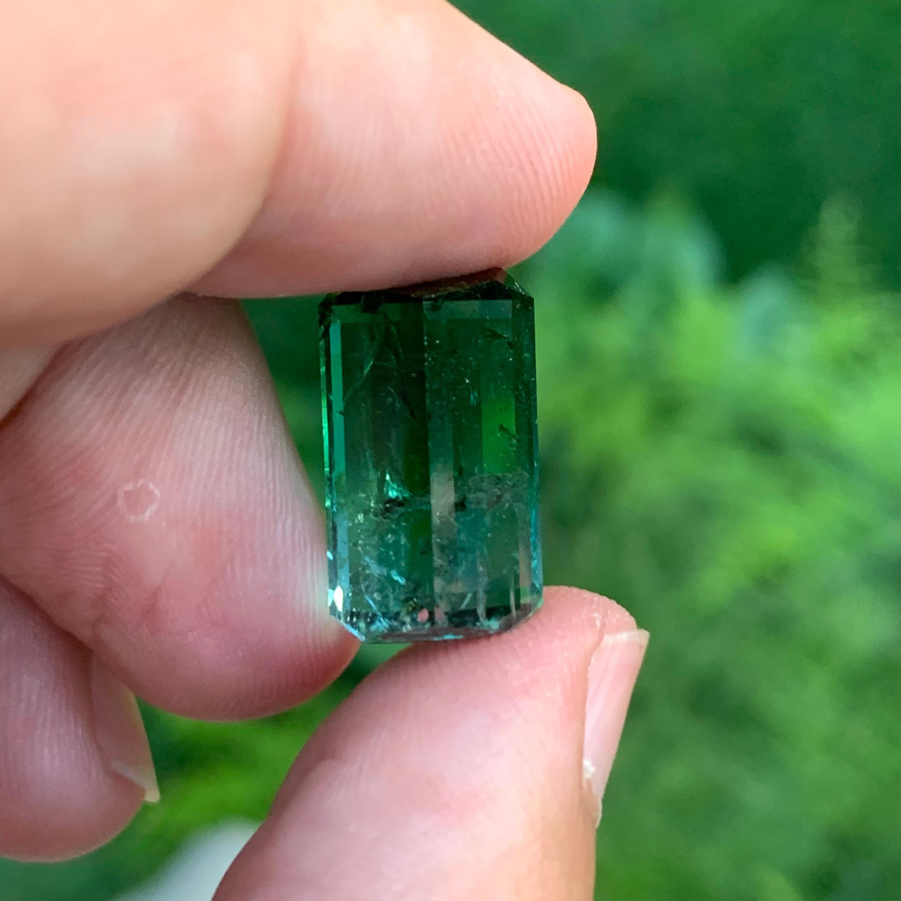 14,80 Carati Enorme Gemma Naturale Sciolta di Tormalina Bi-Colore a Forma di Smeraldo in vendita 1