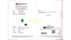 14.89 Carat Minor Oil Colombian Emerald & Green Gold Enamel Art Nouveau Necklace