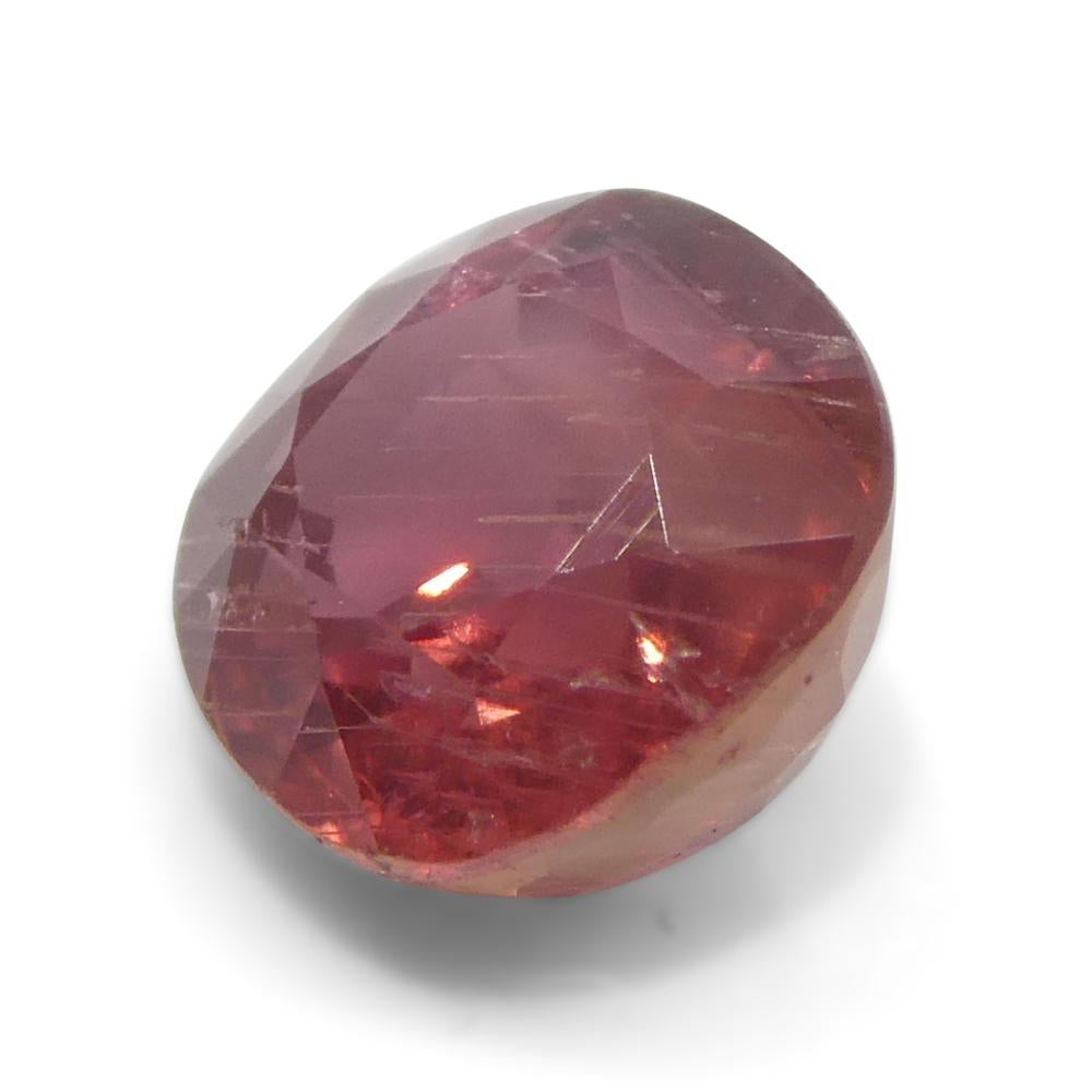 1.48ct Cushion Orangy-Pink Padparadscha Sapphire from Tanzania, Unheated For Sale 6