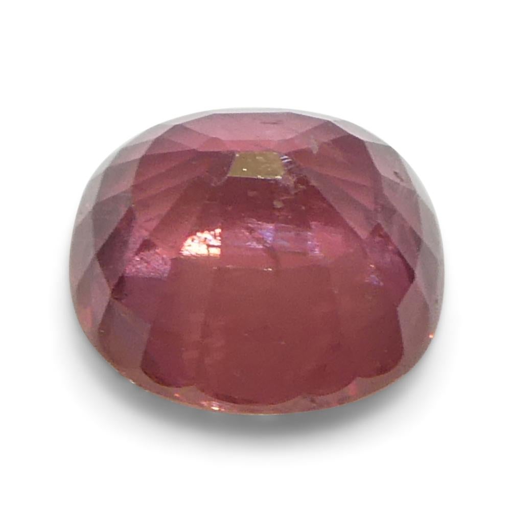 1.48ct Cushion Orangy-Pink Padparadscha Sapphire from Tanzania, Unheated For Sale 8