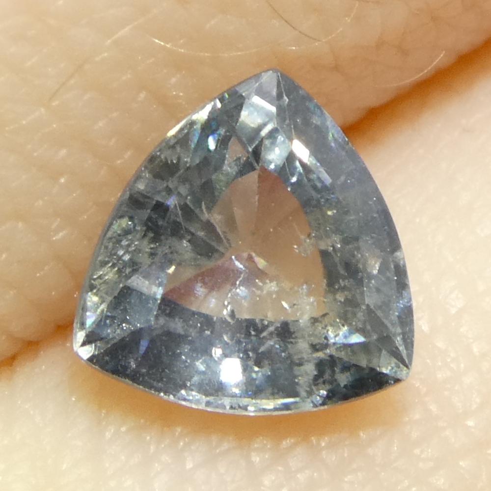 1.48ct Trillion Teal Blue Sapphire from Tanzania Unheated For Sale 7