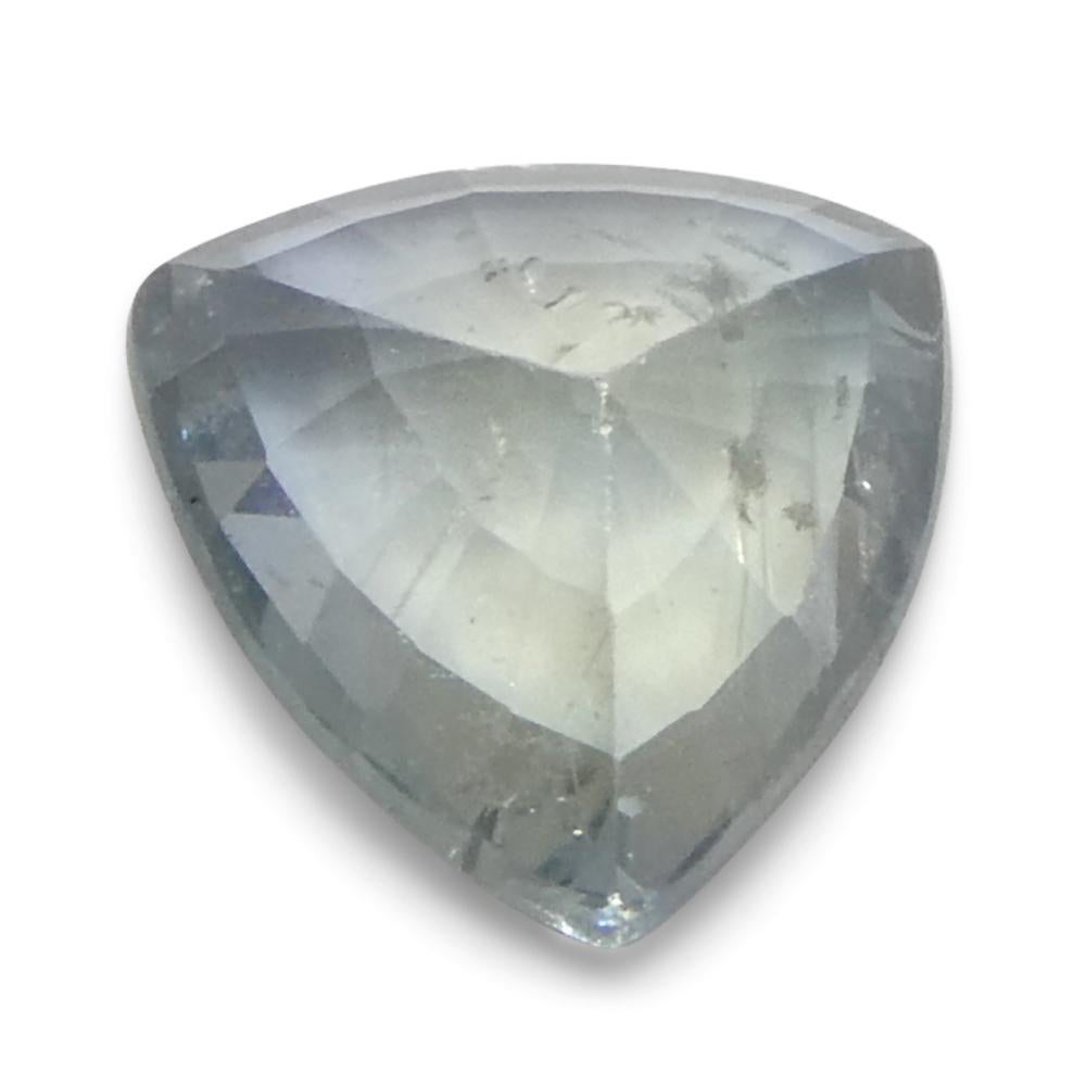 1.48ct Trillion Teal Blue Sapphire from Tanzania Unheated For Sale 4