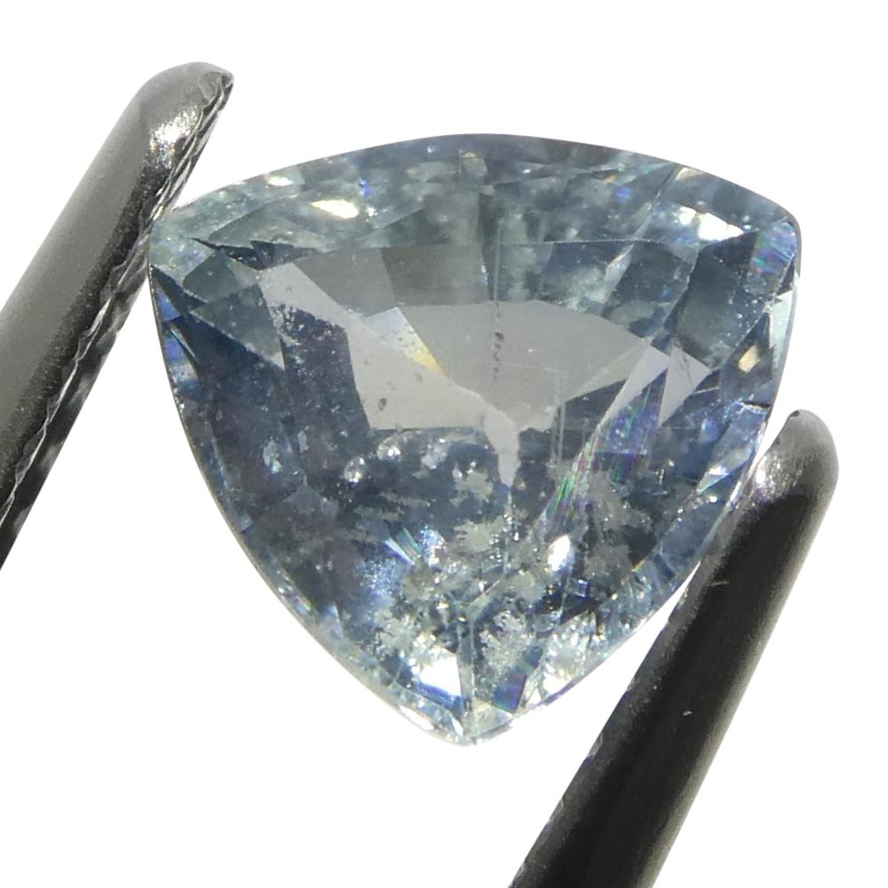 1.48ct Trillion Teal Blue Sapphire from Tanzania Unheated For Sale 5