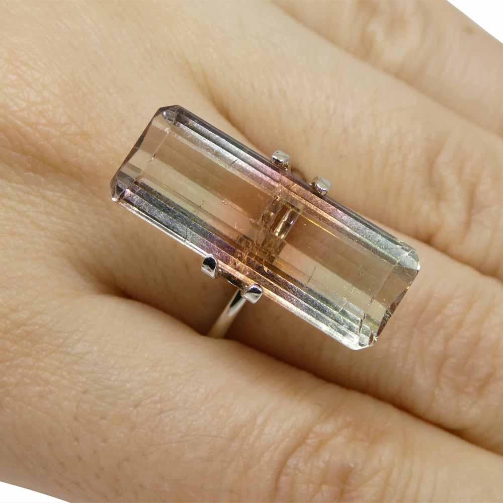 Description:

Gem Type: Bi-Colour Tourmaline
Number of Stones: 1
Weight: 14.95 cts
Measurements: 24.95 x 9.60 x 6.21 mm
Shape: Emerald Cut
Cutting Style Crown: Step Cut
Cutting Style Pavilion: Step Cut
Transparency: Transparent
Clarity: Slightly