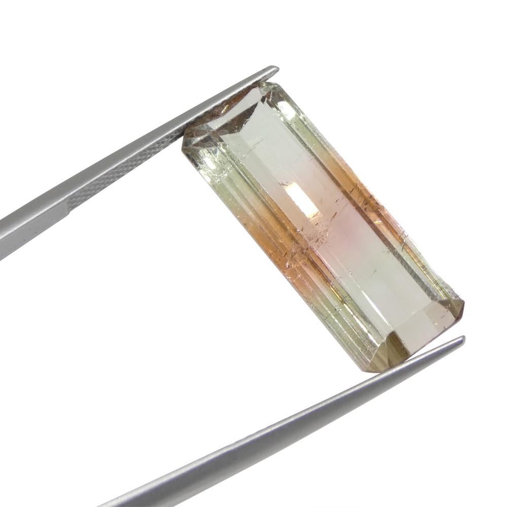 bicolor tourmaline