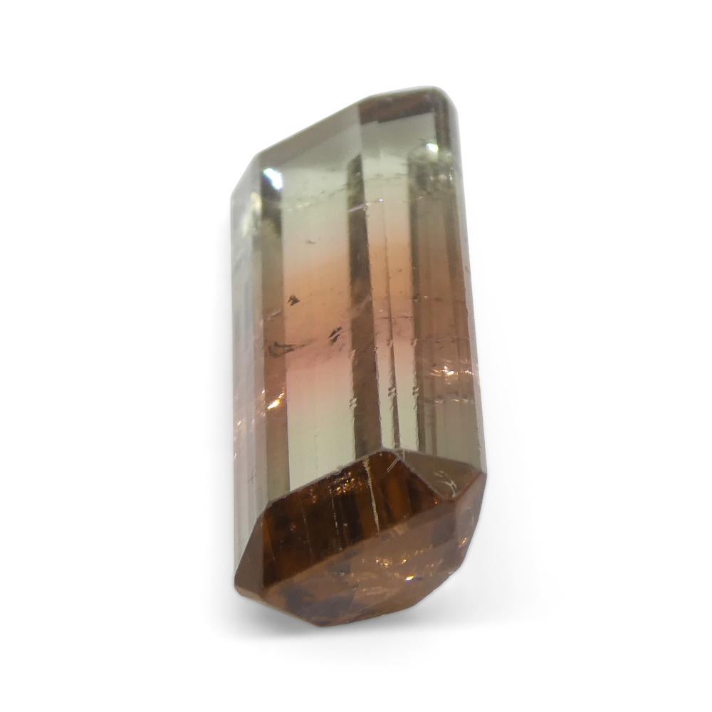 bi colour tourmaline
