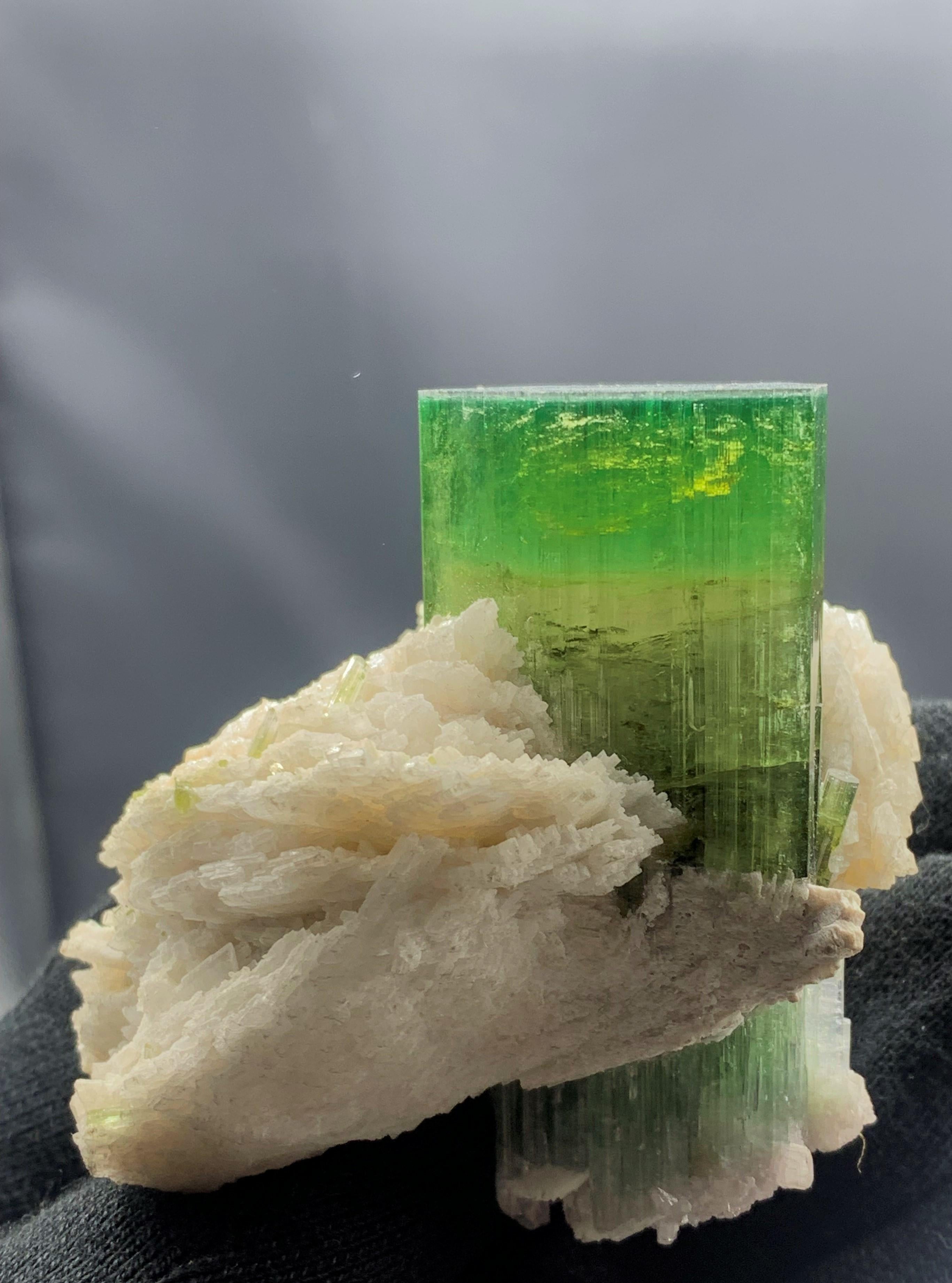 Adam Style 149.99 Gam Magnificent Green Tourmaline Specimen from Afghanistan For Sale