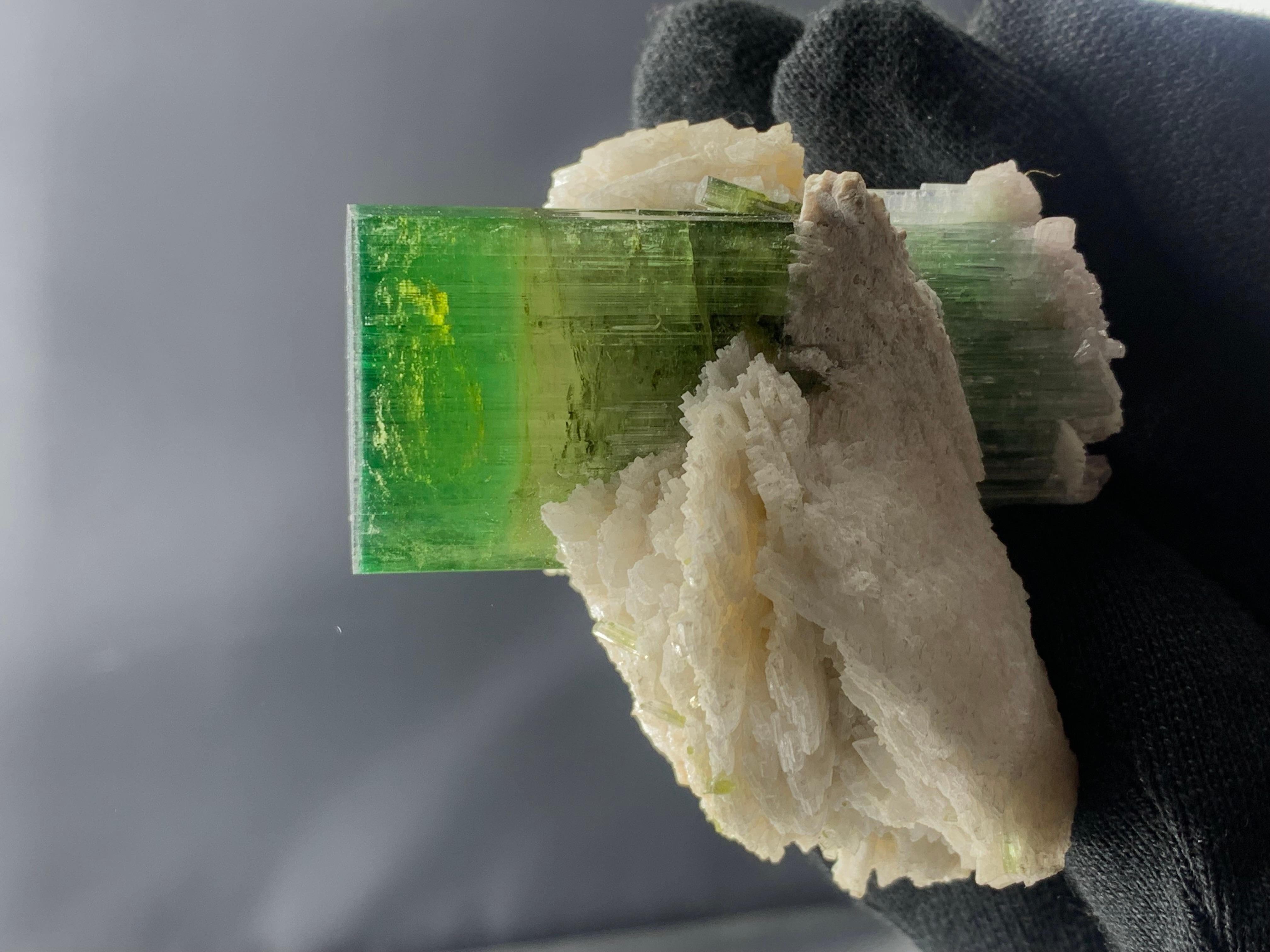 149.99 Gam Magnificent Green Tourmaline Specimen from Afghanistan For Sale 1