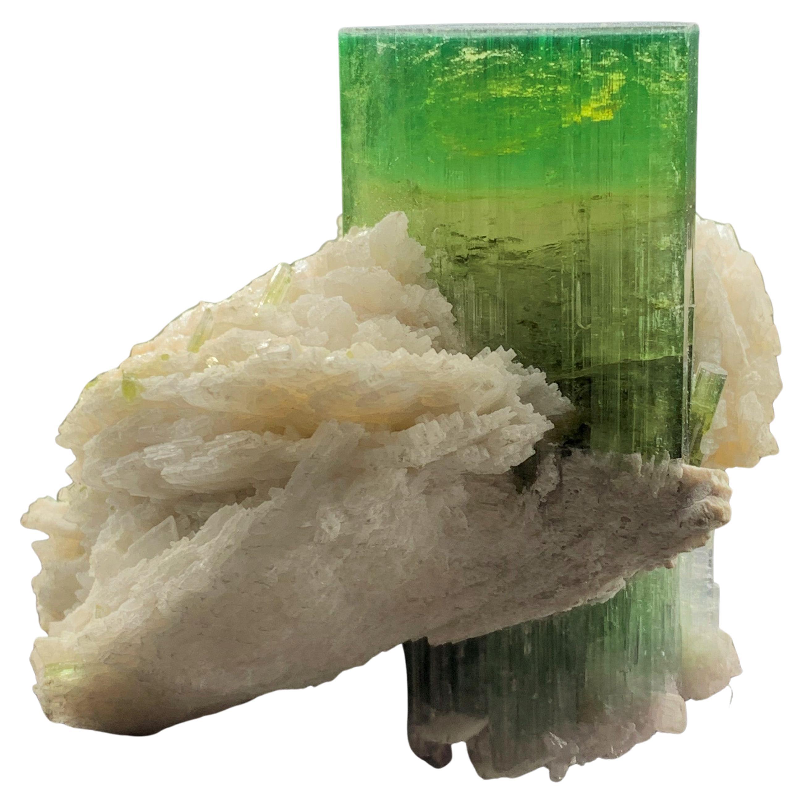 149.99 Gam Magnificent Green Tourmaline Specimen from Afghanistan For Sale